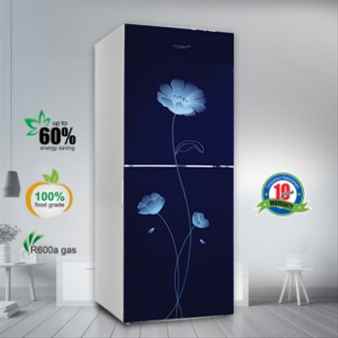 VSN GD Refrigerator RE-262L Blue Peony FL-TM